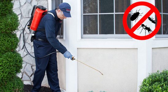 Yeşilyurt Böcek ve Haşere İlaçlama böcek ilaçlama ve haşere kontrolü — ilaclama-tr.com